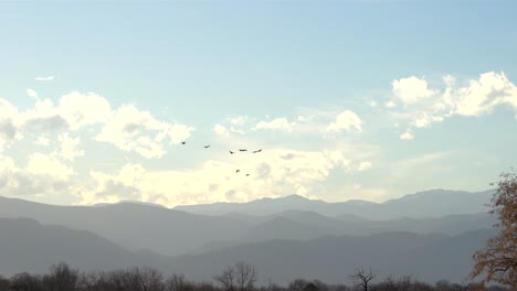 Herde-Von-Gänsen,-Die-Vor-Einem-Hintergrund-Von-Bergen-Fliegen