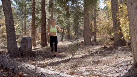 Tiro-De-ángulo-Bajo-De-Una-Mujer-Joven-Corriendo-En-Un-Bosque.