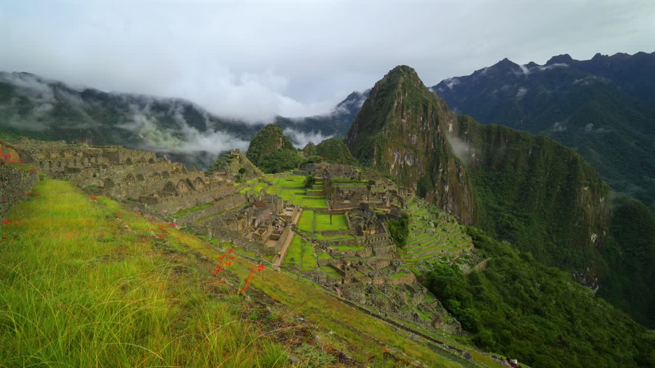Camadas de terraços de Machu Picchu, Templo Inca do Peru, paisagem ao amanhecer, camada de nuvens e neblina, flores de orquídea, Montanha Huayna Picchu, Circuito da Trilha Inca, Cordilheira dos Andes Peruanos, santuário, deslizar para a esquerda.