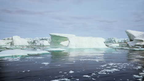 icebergs in a glacial landscape