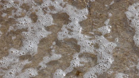 waves gently washing over sandy beach