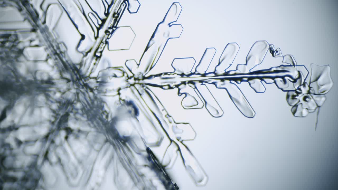 снежинка ледяной кристалл звездчатый дендрит под микроскопом