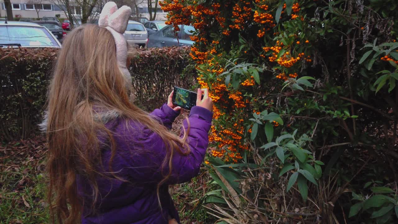 A young girl in a purple jacket uses a smartphone to take a photo of orange Pyracantha berries. A realistic 2026 moment of early age learning, digital literacy, and nature exploration in a backyard se