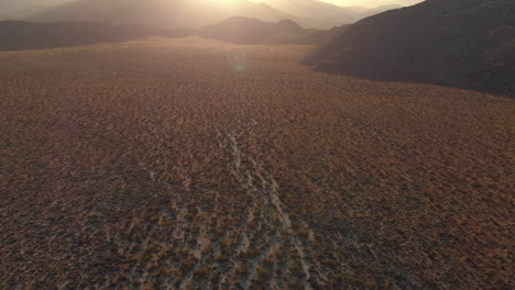 aerial dolly forward of desert valley in anza borrego state park during sunset