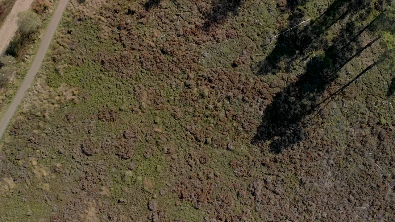 Top down view of dry moorland revealing a dirt road and bike path with two bikers passing each other