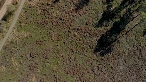 Blick-Von-Oben-Nach-Unten-Auf-Trockenes-Moorland,-Das-Eine-Unbefestigte-Straße-Und-Einen-Radweg-Mit-Zwei-Radfahrern-Enthüllt,-Die-Aneinander-Vorbeifahren