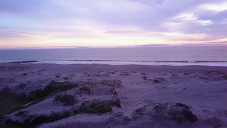 Nice-vista-aérea-through-palm-trees-reveals-a-California-beach-scene-2