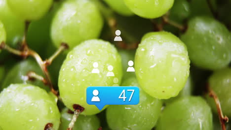 social media notification animation over close-up of green grapes