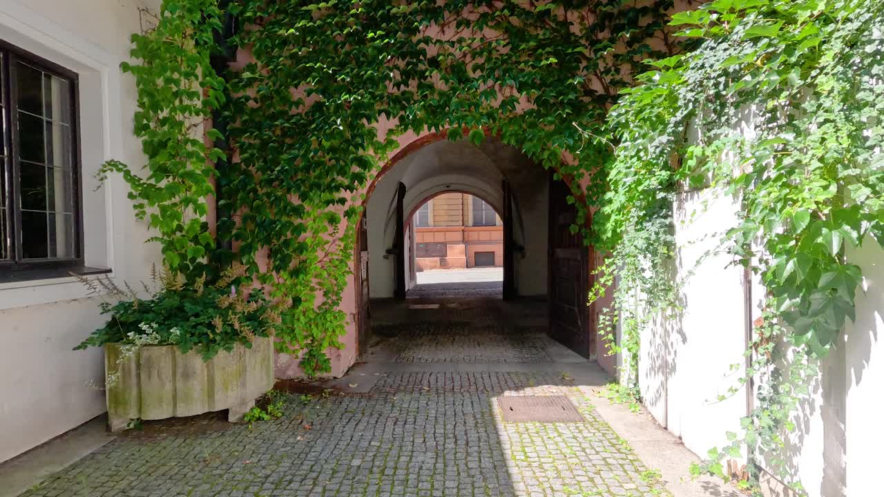 Camera moves through vine-covered archway into sunlit cobblestone courtyard, revealing historic architecture details