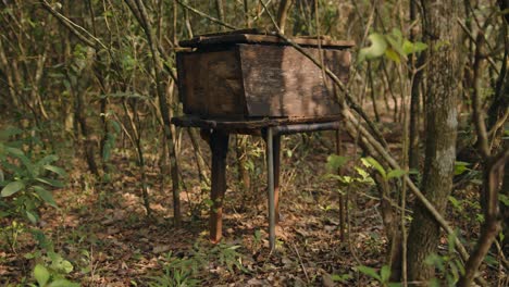 en un campo con abejas de la caja de miel volando en el concepto de apicultura colmena