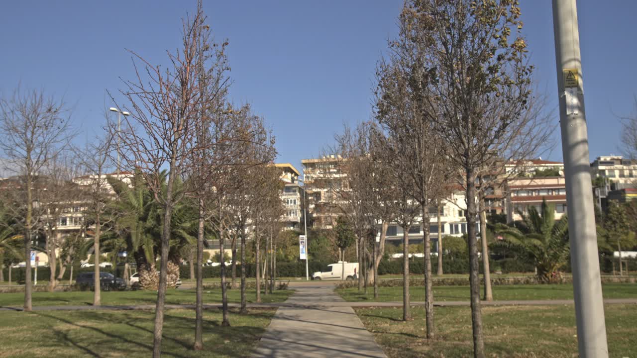 parque de bosque con árboles uhd 4k