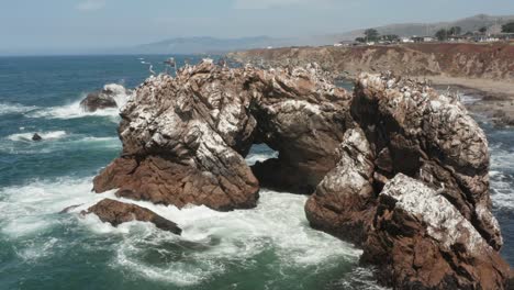 Vögel-Sitzen-Auf-Gewölbten-Felsen-Am-Meer-Mit-Wellen,-Die-In-Der-Nähe-Des-Strandes-Bodega-Bay-Highway-1-In-Nordkalifornien-Zusammenbrechen