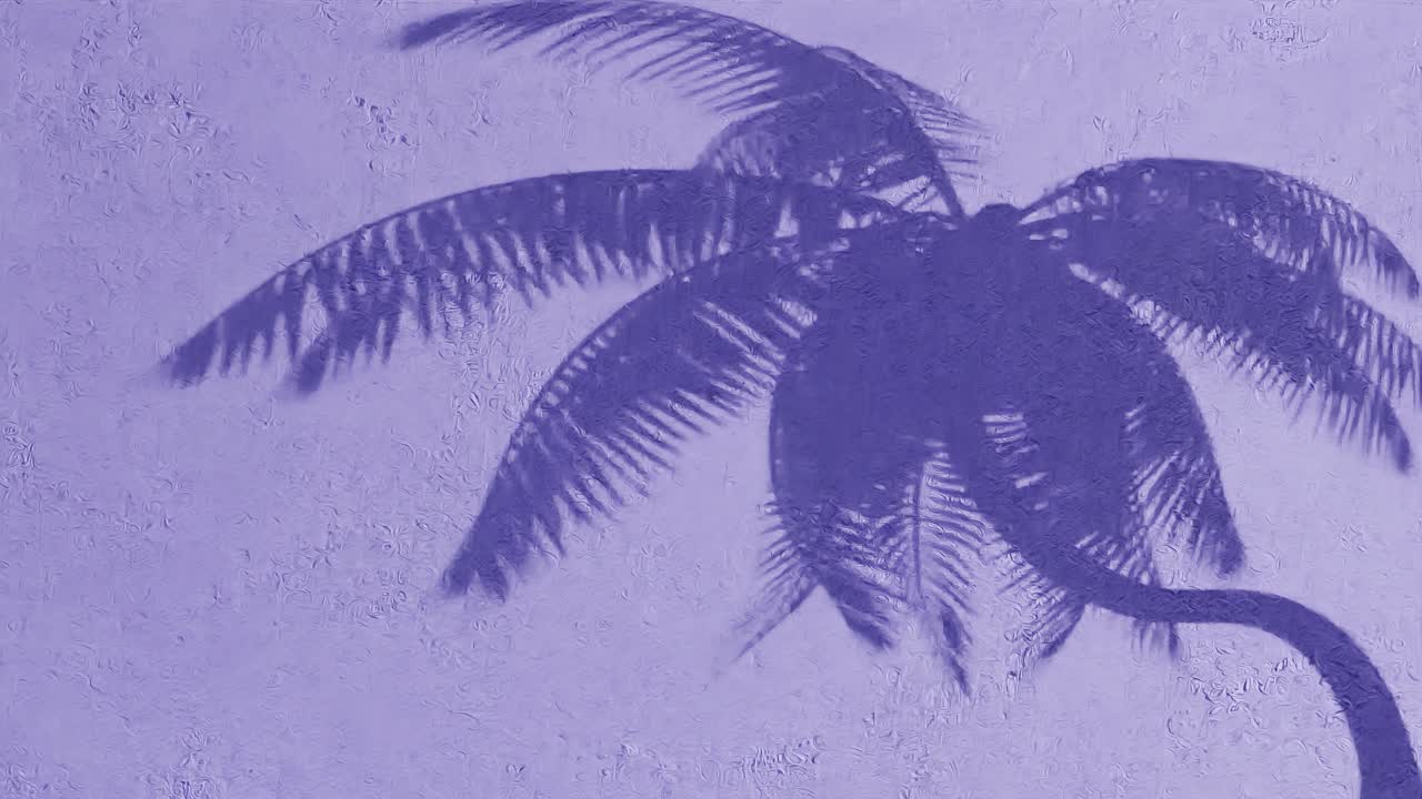 Palm tree shadow on textured purple wall. Tropical silhouette concept