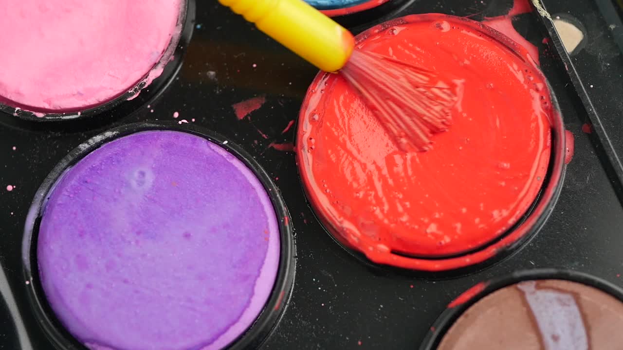 Watercolor Paint Palette with Brush