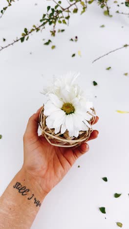 hand holding a small bouquet of white daisies in a wicker basket