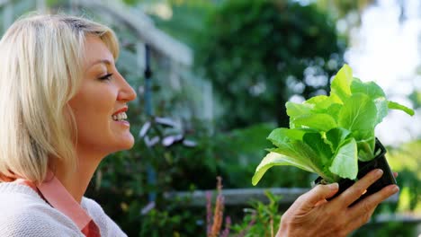 Mature-woman-checking-plant