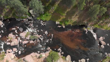 Picturesque-shallow-mountain-river-runs-through-summer-boreal-forest