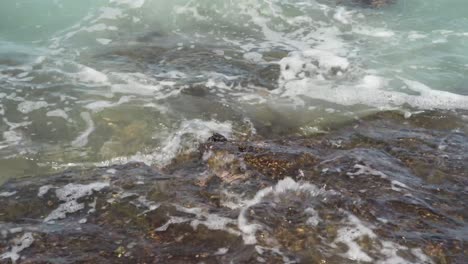 small crab holding onto a black lava rock formation while being pummeled by waves