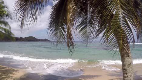 Mar-Tranquilo-En-Una-Playa-Tropical-Mientras-La-Palmera-Se-Mueve-Lentamente-Con-El-Viento-En-Un-Día-De-Verano-Parcialmente-Nublado-En-Martinica