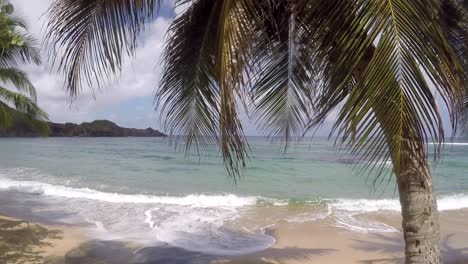 mar tranquilo en una playa tropical mientras la palmera se mueve lentamente con el viento en un día de verano parcialmente nublado en martinica