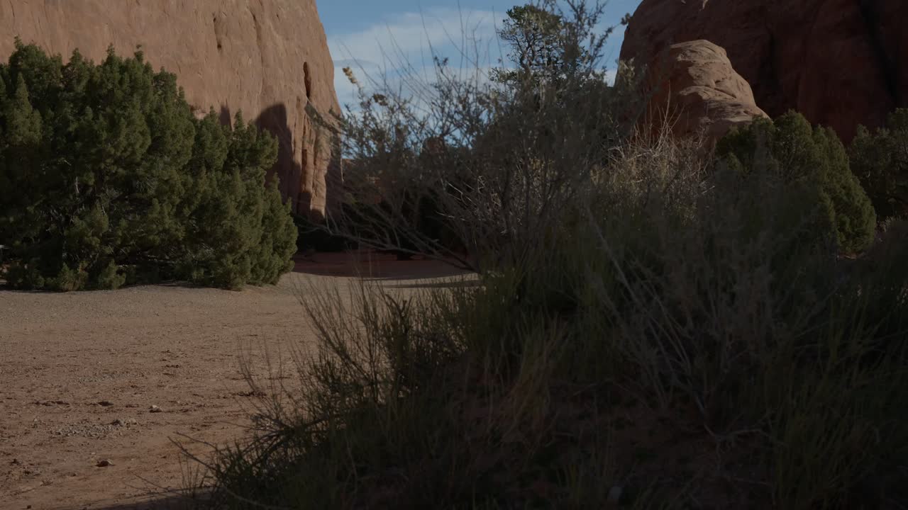Carrellata cinematografica che svela l'area picnic di Devils Garden nel Parco nazionale degli Arches, Utah. Formazioni di arenaria emergono da dietro i cespugli in primo piano, mettendo in mostra il paesaggio desertico e lo scenario del parco nazionale