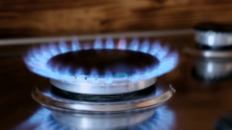 natural gas burning from a kitchen gas stove. blue flame on black background. turning on the cooktop gas cooker, close up