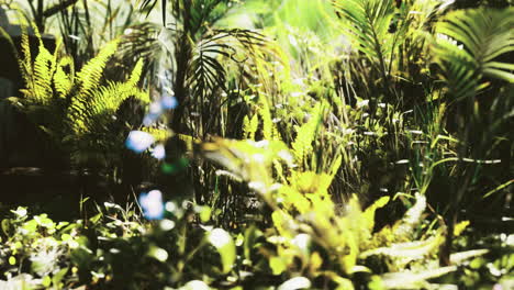 lush greenery and vibrant plants in a tropical forest under bright sunlight