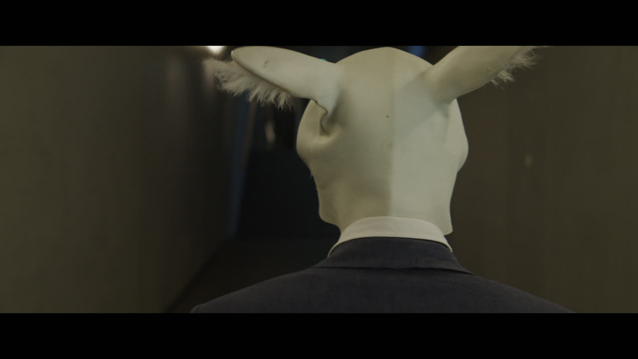 Man walking down a corridor with a rabbit head