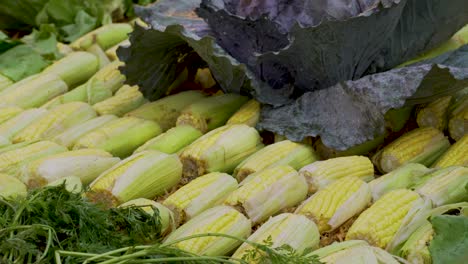 Corn-on-the-cob-is-laid-out-at-a-Guatemalan-street-market-stall