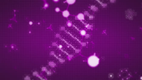 animación de moléculas que se mueven sobre la cadena de adn en un fondo púrpura