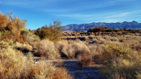 Comienzo-Del-Sendero-En-Corn-Creek