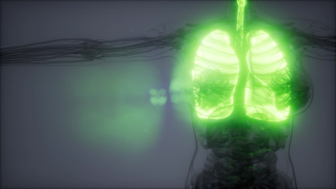 인간의 폐 방사선 검사