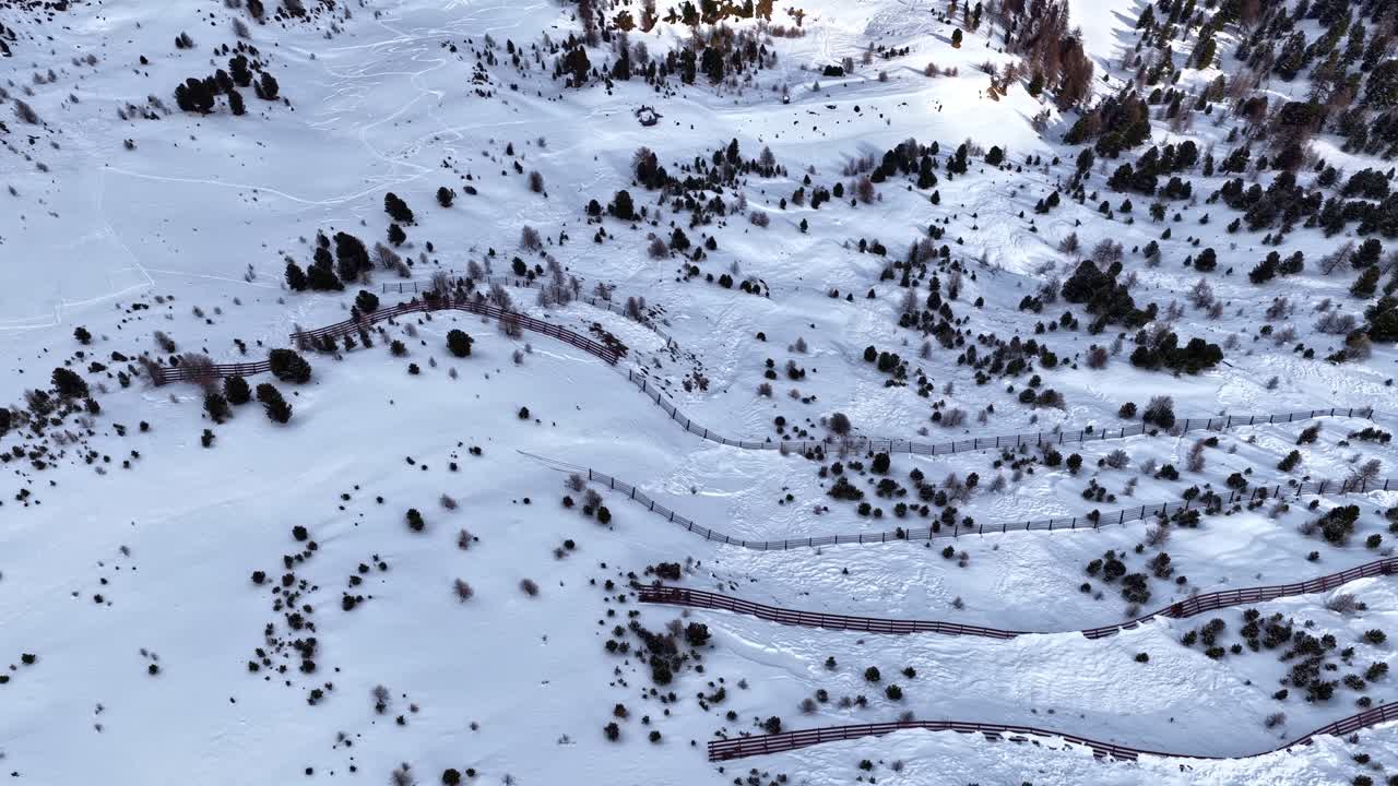 Drone shot of snow-covered mountain slope with fence and scattered pine trees - Skigebiet Schöneben, Austria