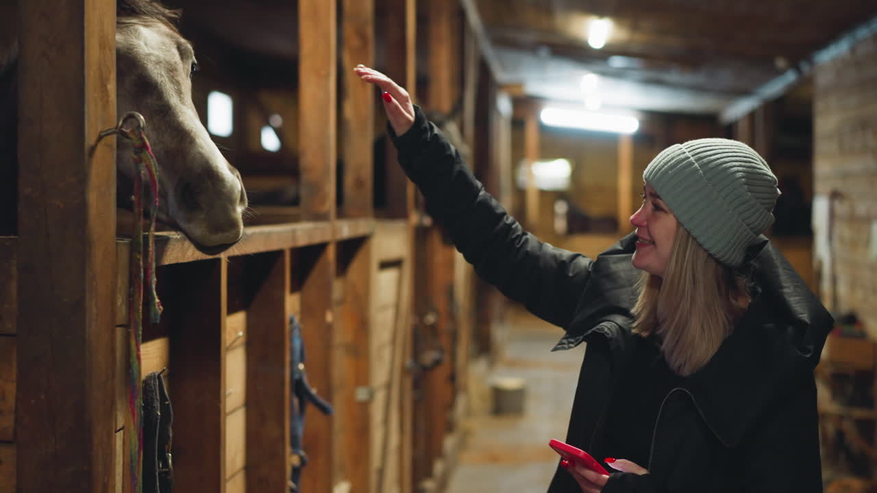 Trustful horse smells hand of woman looking out of stall