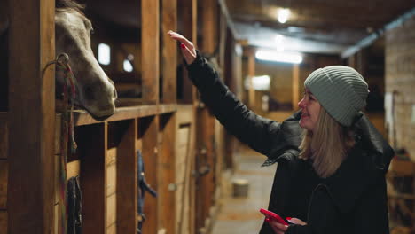 Trustful-horse-smells-hand-of-woman-looking-out-of-stall