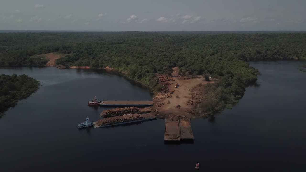 deforestación de la selva amazónica a lo largo del río tocantins - vista aérea