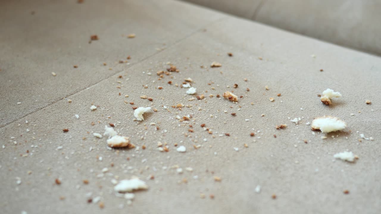 migas en un asiento de coche