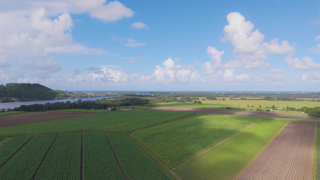 Lush fields under a bright blue sky