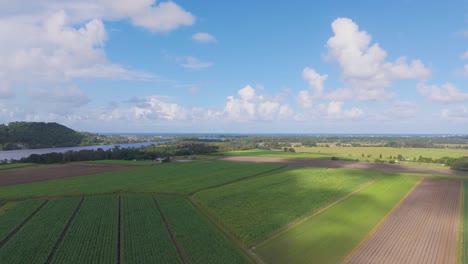 lush fields under a bright blue sky