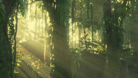 green tropical forest with ray of light