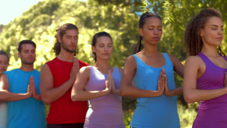 Fitness-Gruppe-Macht-Yoga-Im-Park-An-Einem-Sonnigen-Tag