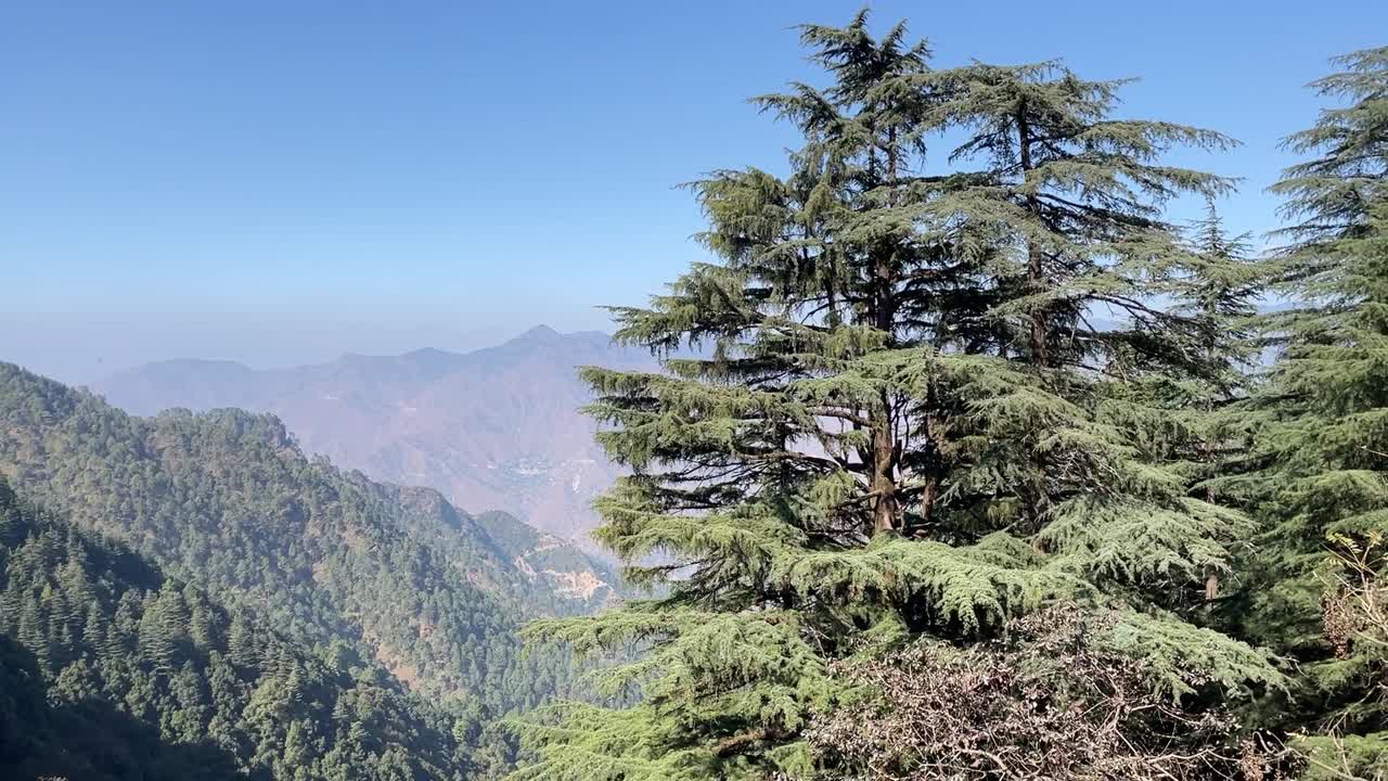 숲 과 산 을 내려다보는 시야 에서의 경치 좋은 풍경