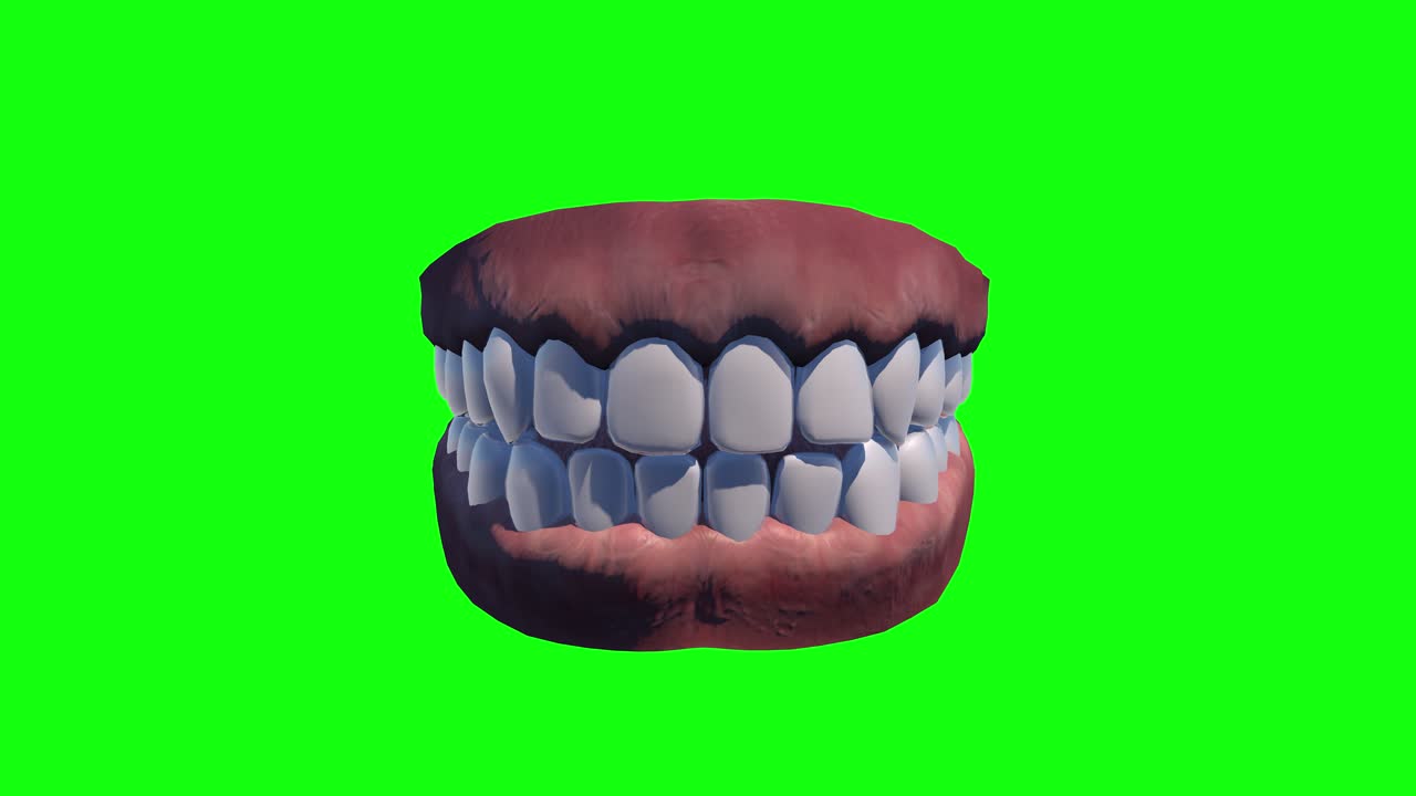 8 가지 다른 애니메이션 치아 치아