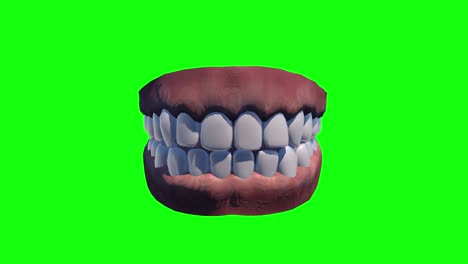 8 animaciones diferentes dentadura postiza