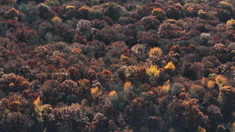 los coloridos bosques de otoño en arkansas, ee.uu. - fotografía aérea de un avión no tripulado