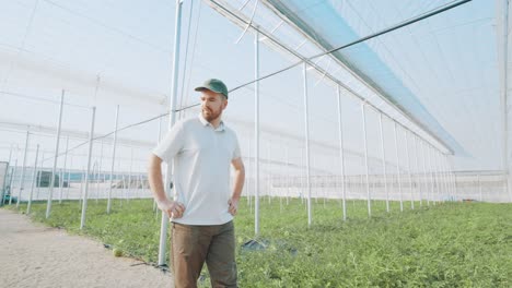 farmer observing watermelon growth in greenhouse