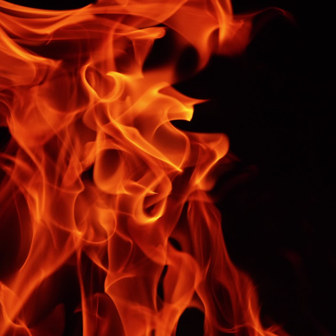 Burning fire on black background. Hot red flames moving in darkness. Close up