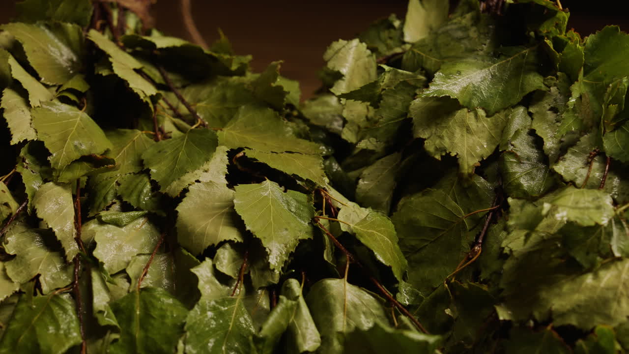 Wet Birch Broom for Sauna