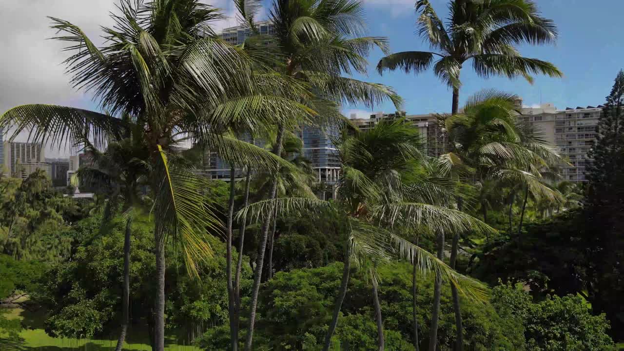 La città di Honolulu è così fortunata ad avere intorno la bellezza delle Hawaii