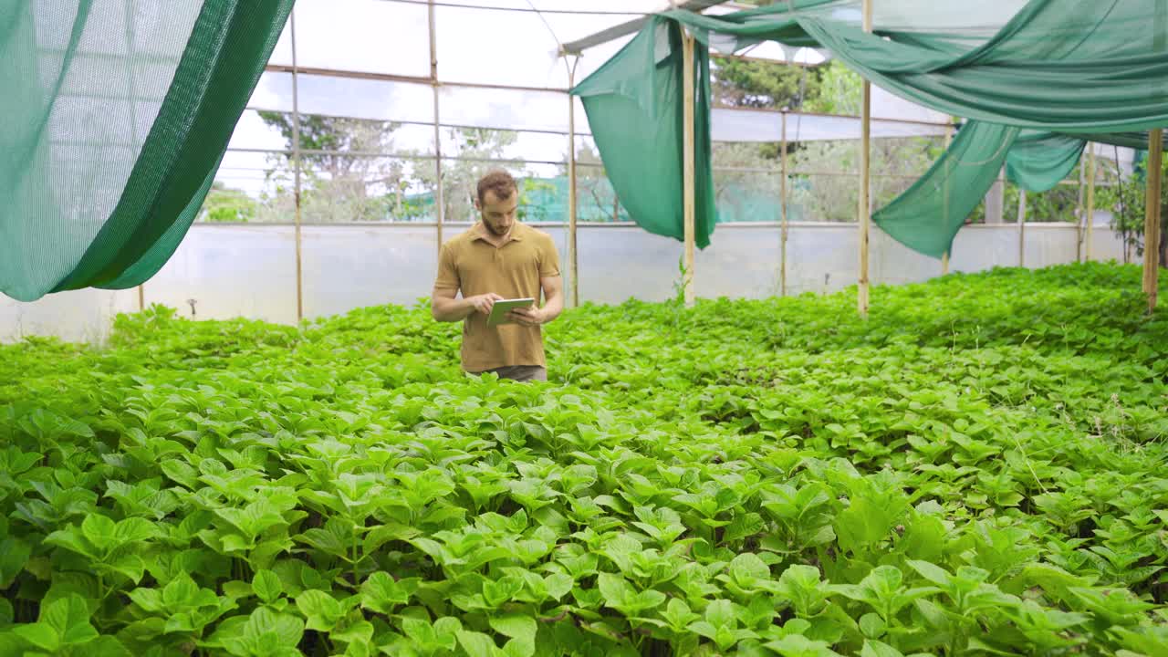 현대적인 꽃가루가 꽃의 씨 ⁇ 과 함께 온실에서 태블릿으로 일하고 있습니다.